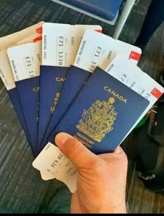 media image Les passeports et les visa sont disponibles